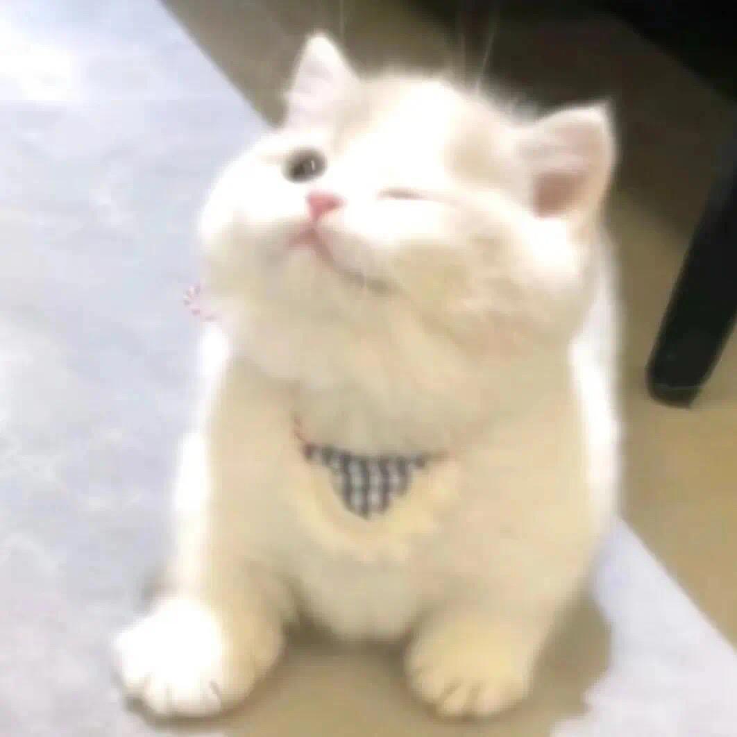 喝杯白开水𖠚ᐝ