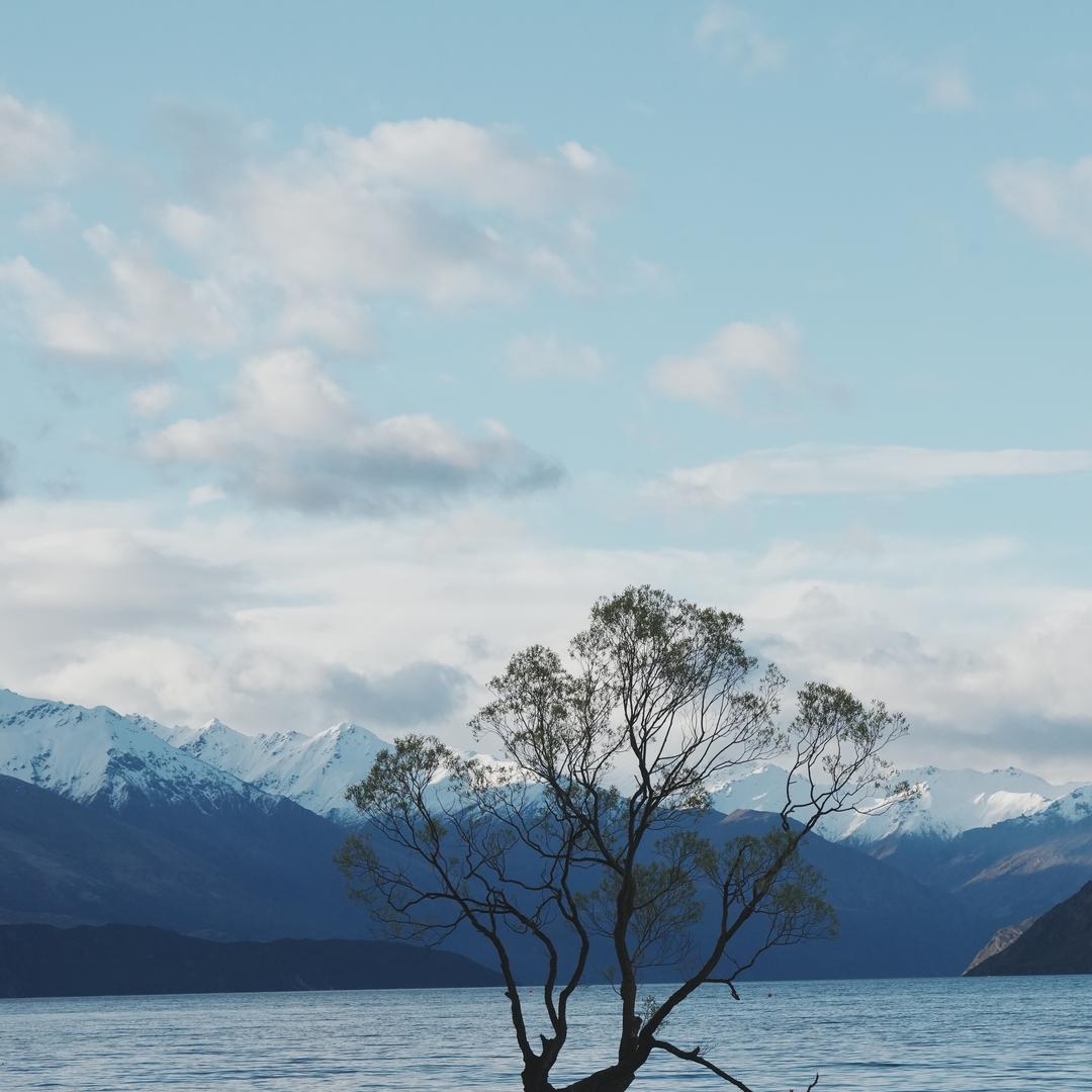 晚风吻尽荷花叶