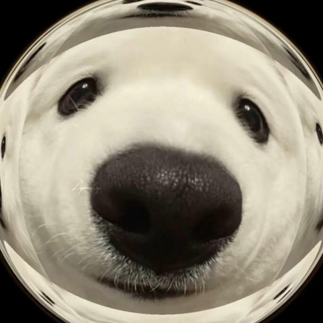 冰个胡萝卜