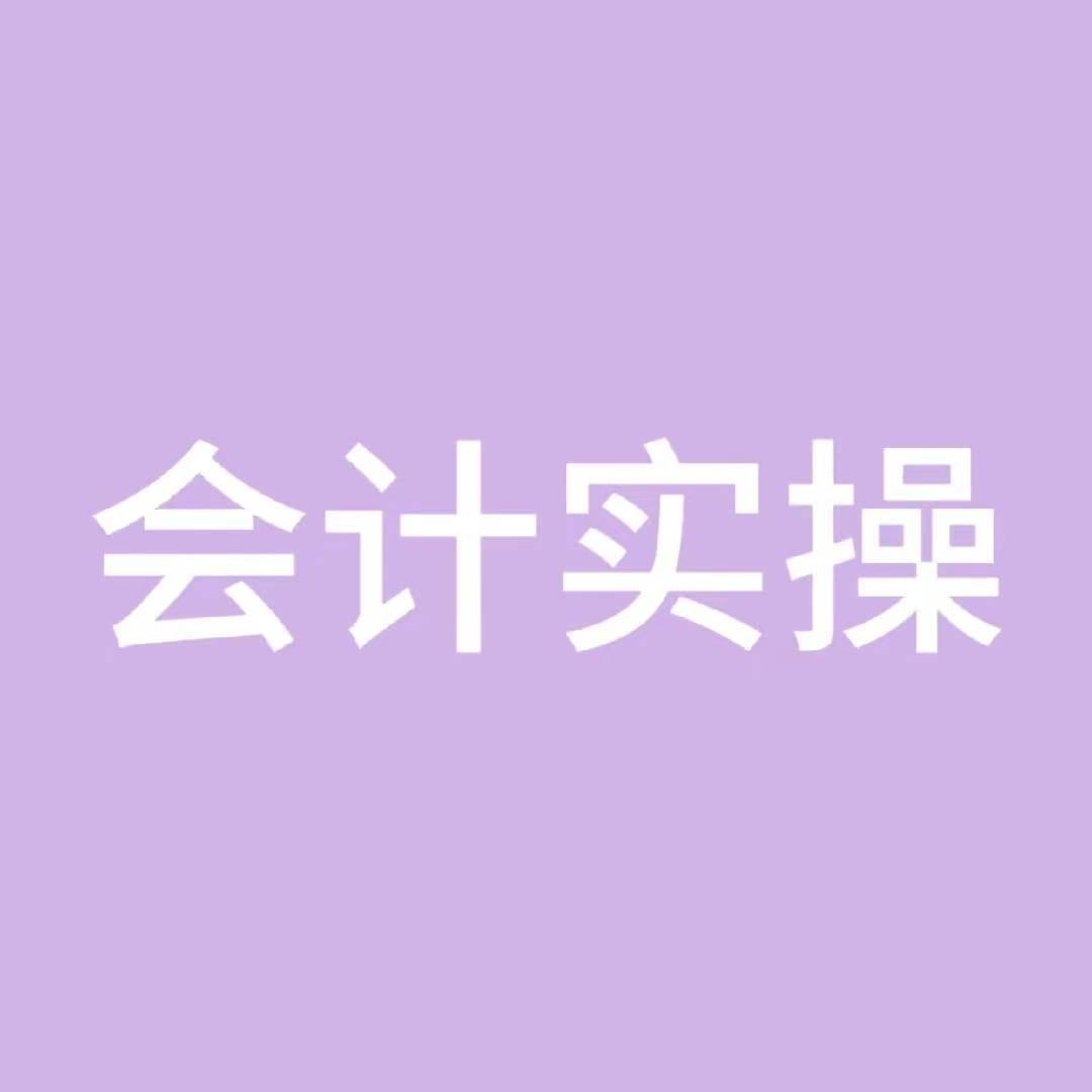 领才会计实操