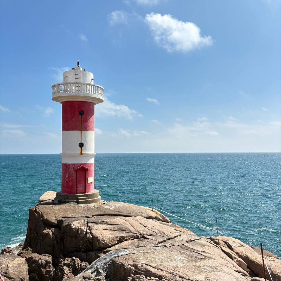 像风一样自由🧐🧐