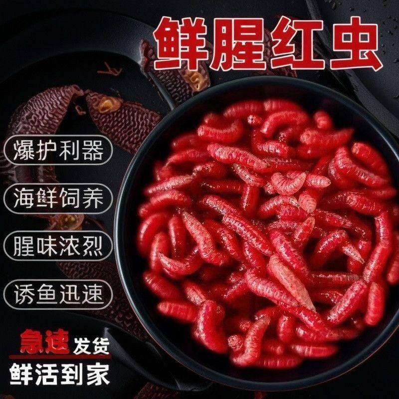 九江精选红虫店