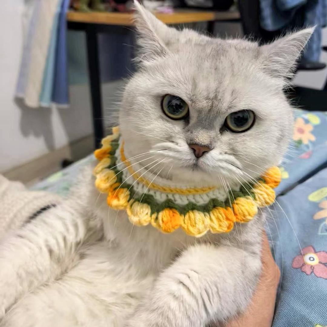 肥柚虎仔（柚子宝贝二胎月子中）