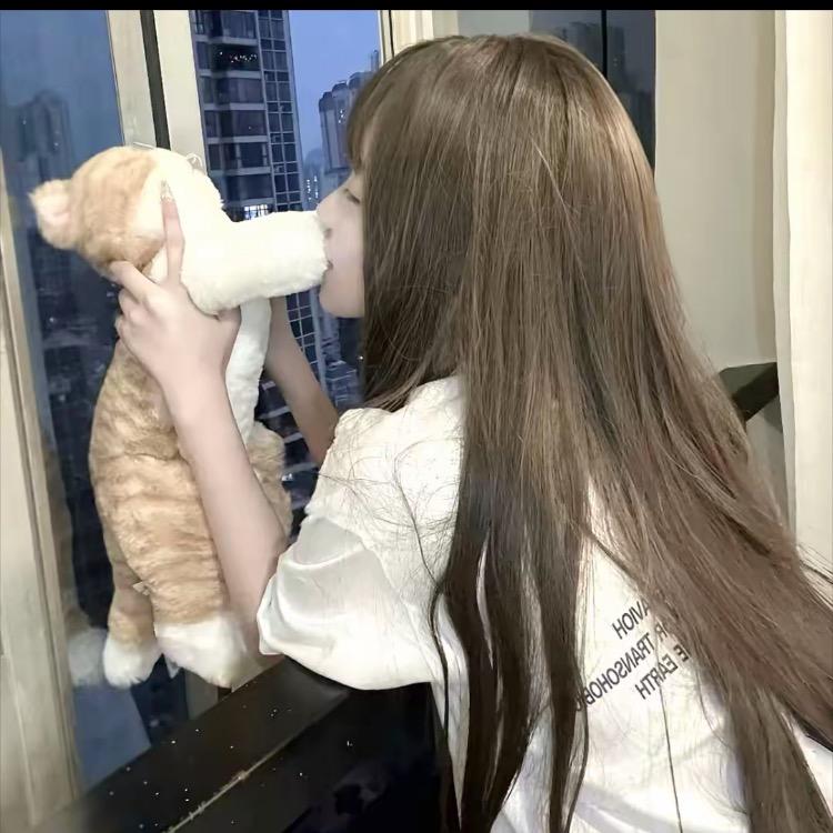 扬秀