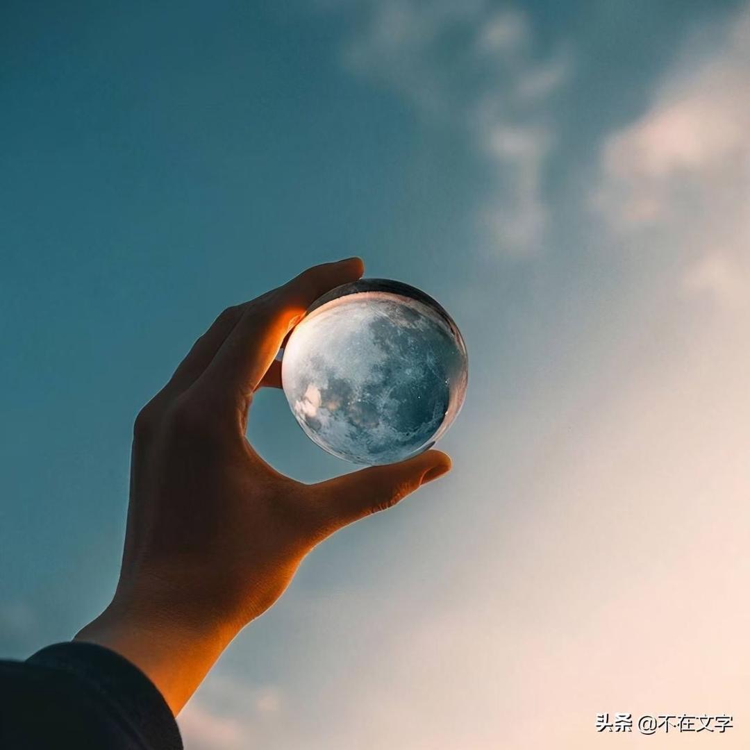 （不负-年华）