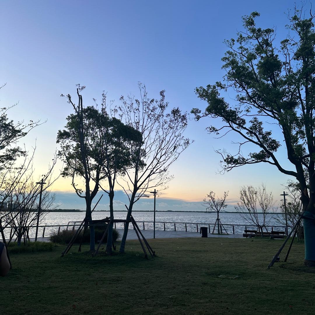 鸮