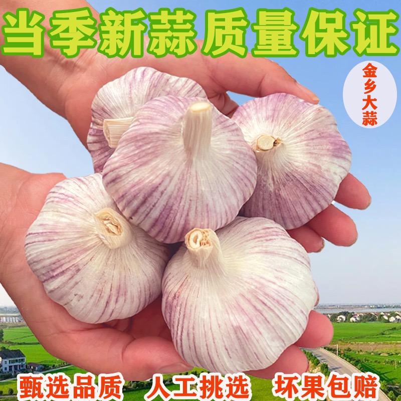 俺家种了一亩蒜
