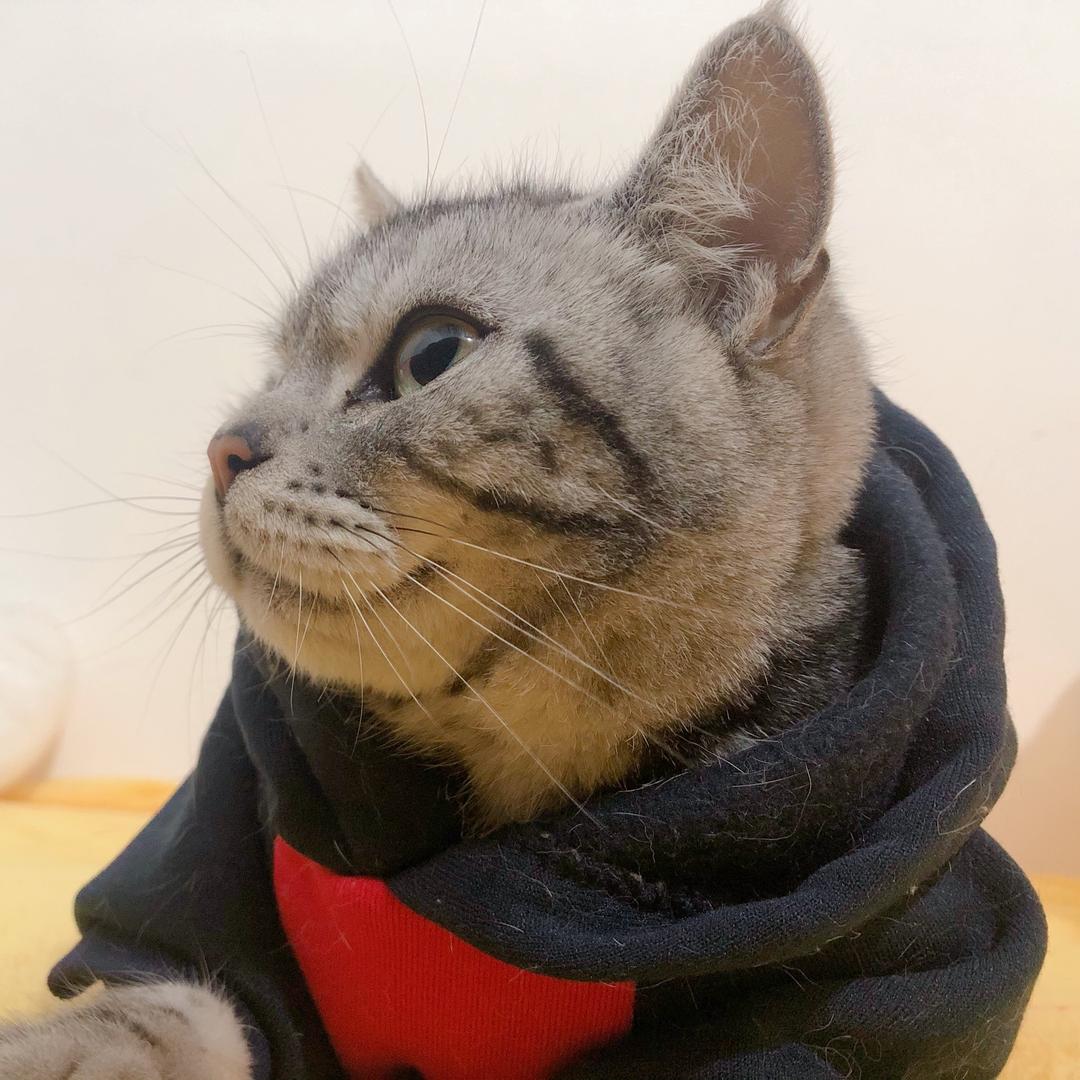 糖老二和一大坨