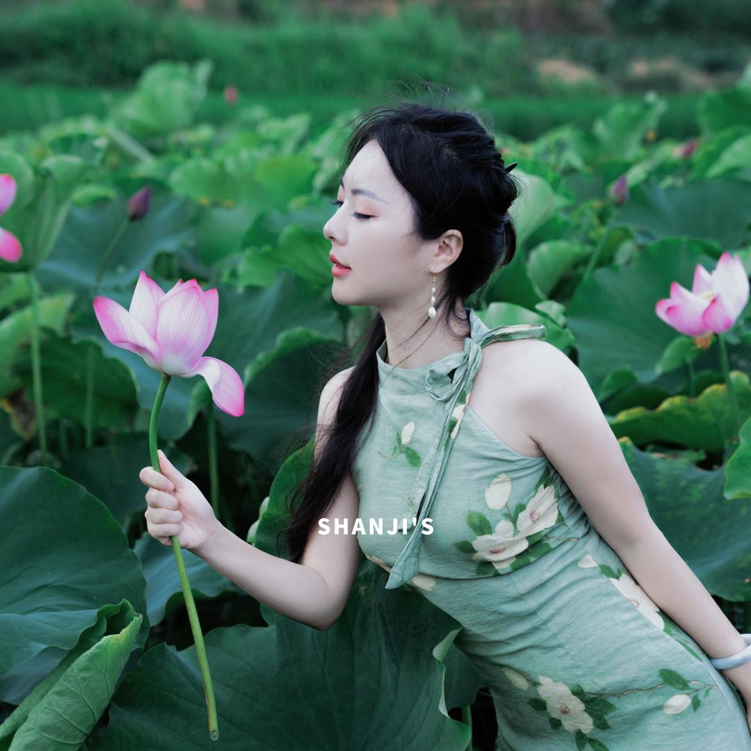 轻菜小姐