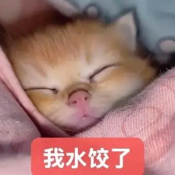 Lion cub *･゜ﾟ