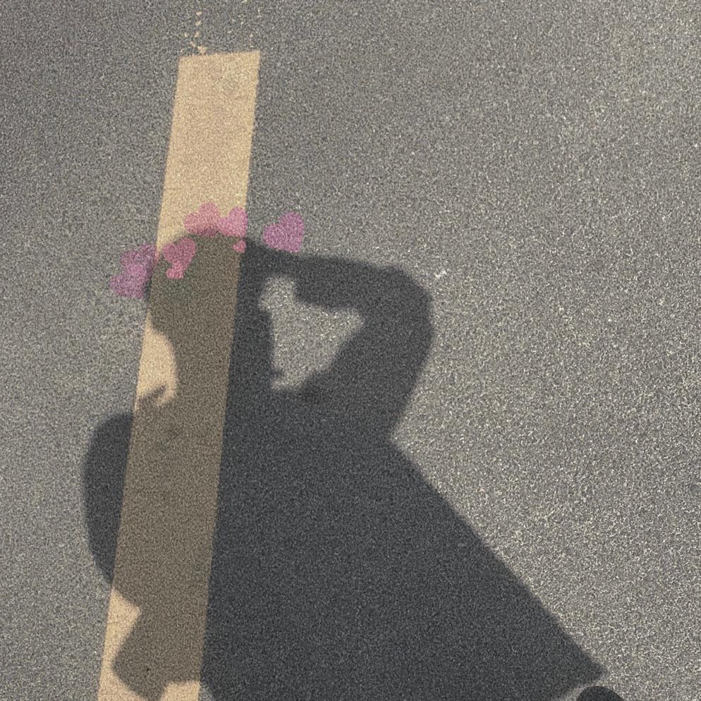 冷酷鲨手·