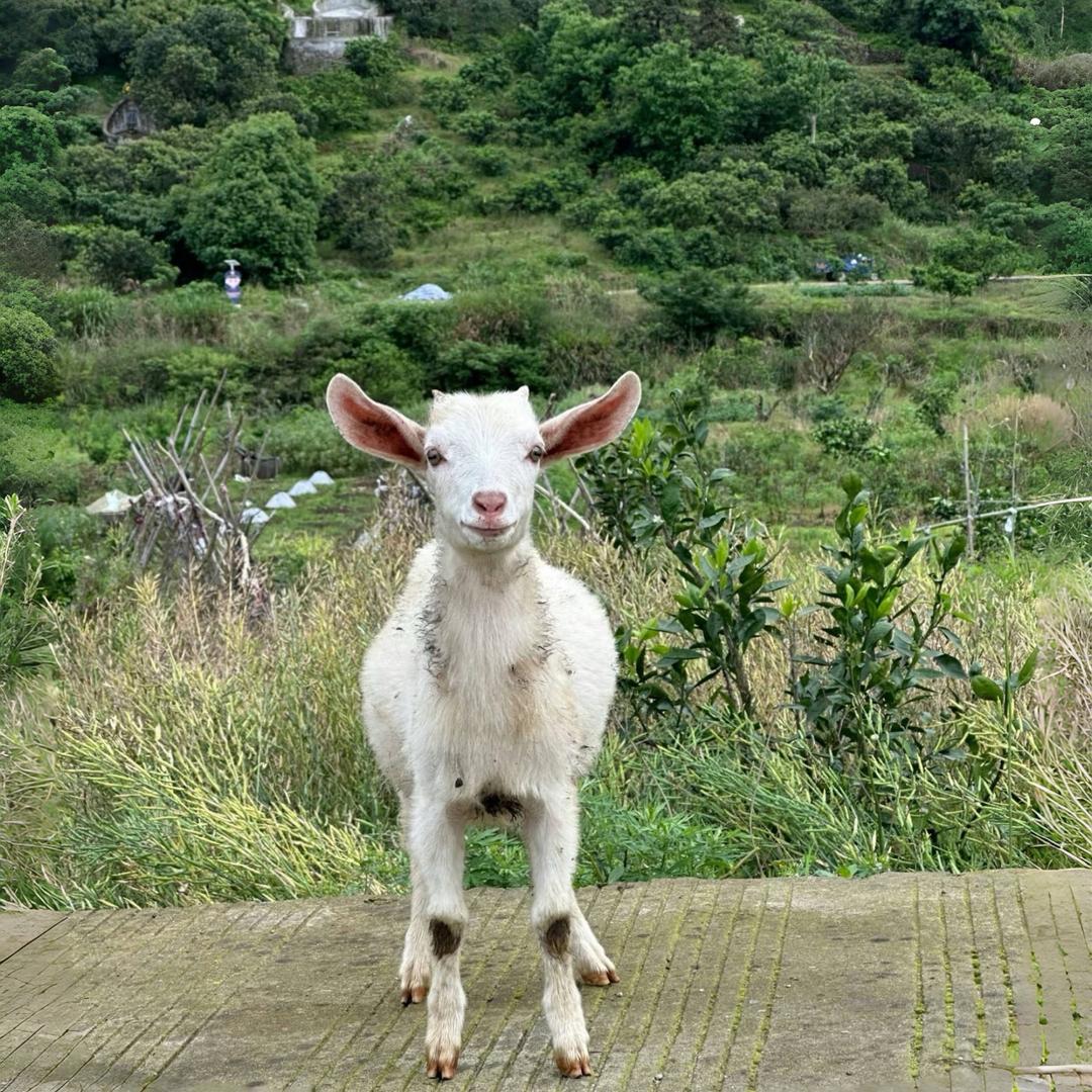 鑫洋生鲜