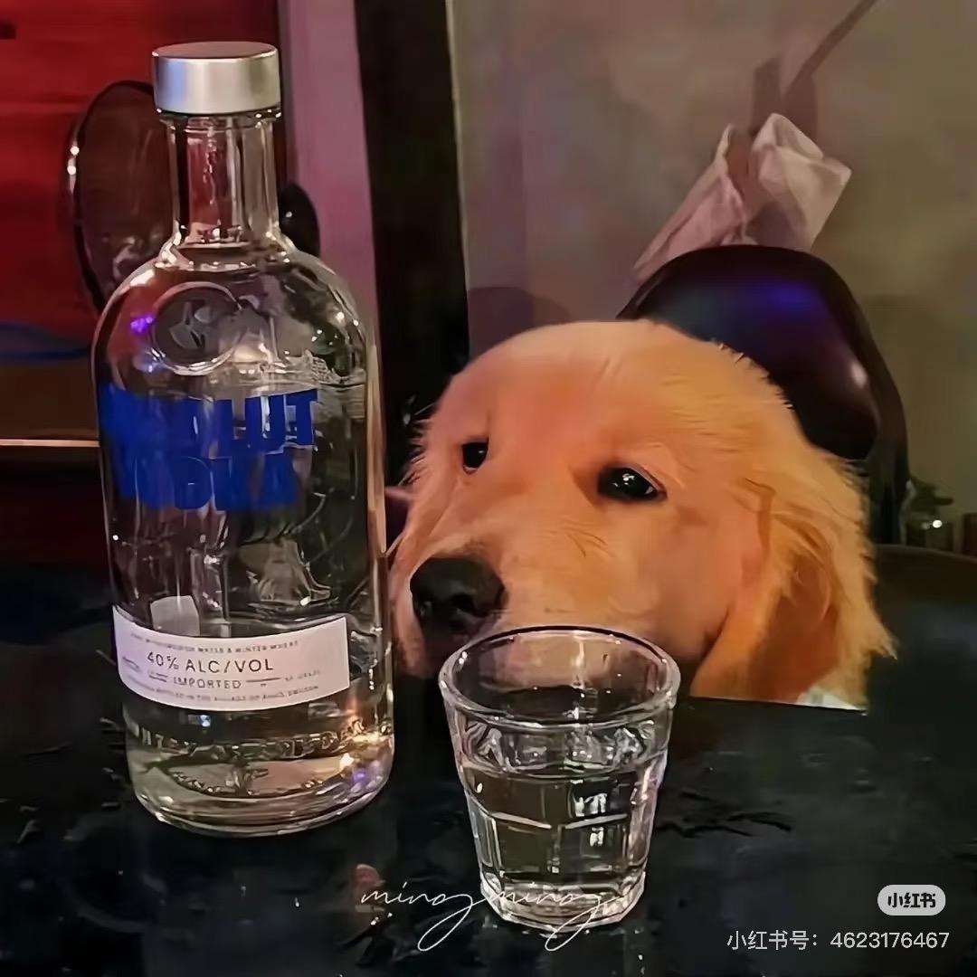 这一路走来～