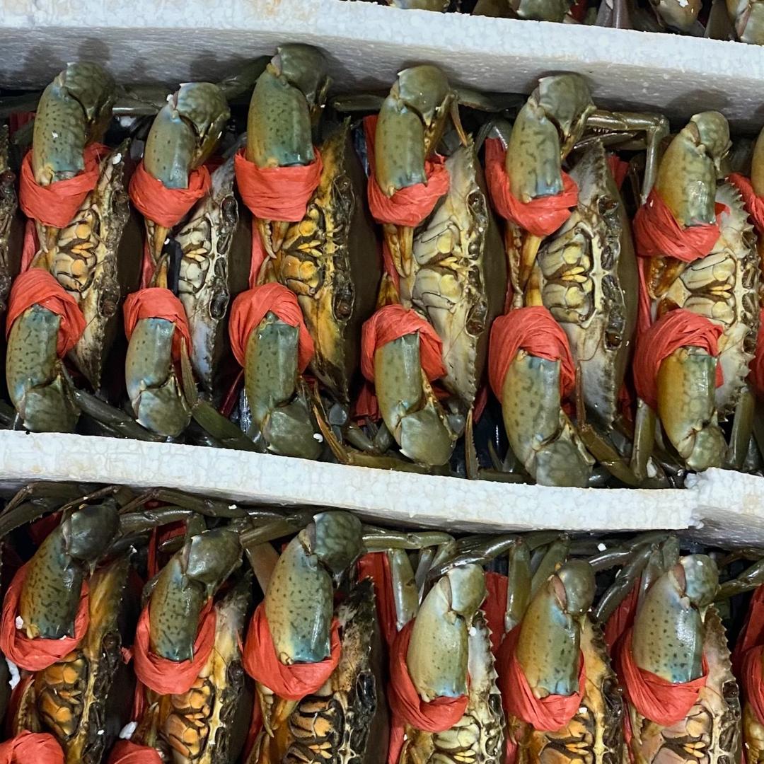 林东水产🦀️🦐🐟