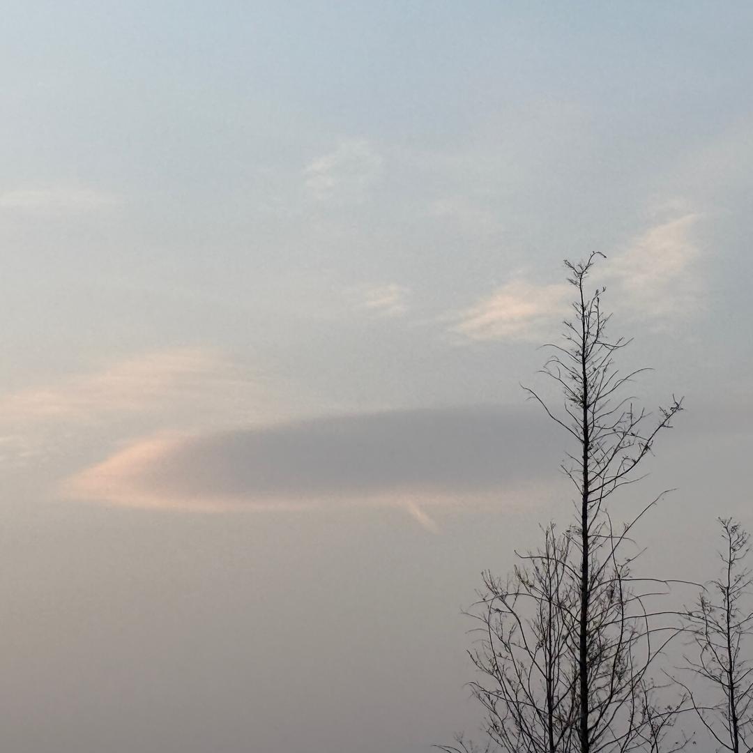 肉末茄子加点葱