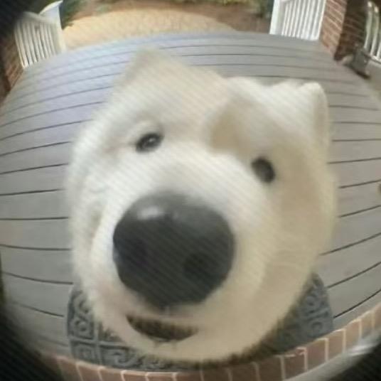好运连绵