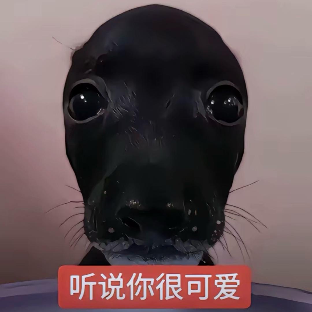 Z☡z