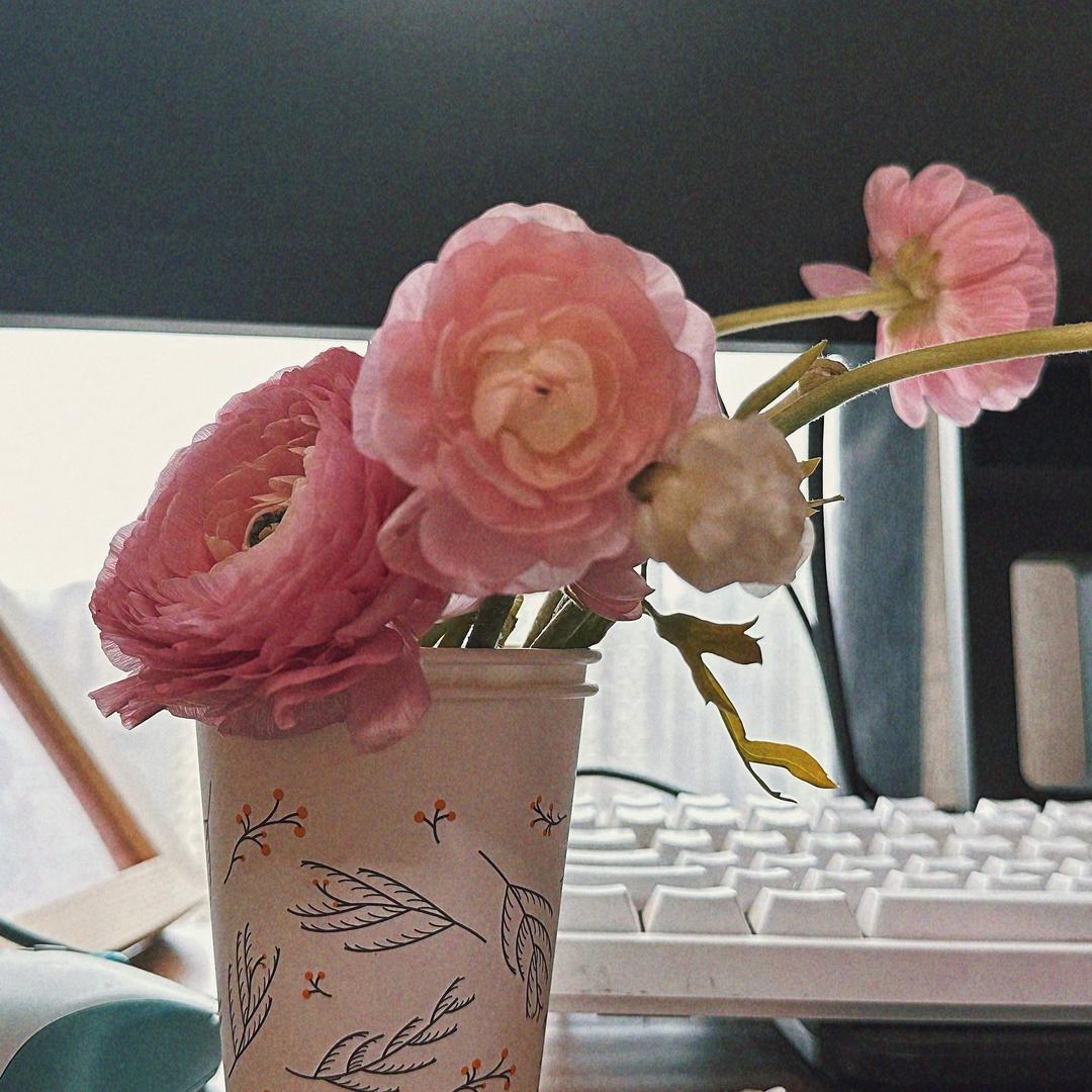 芒果