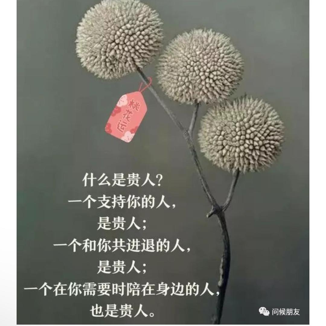 六妹生活号