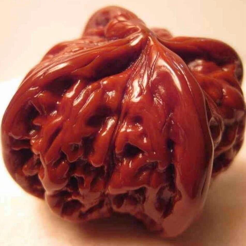 卧龙藏核涞水
