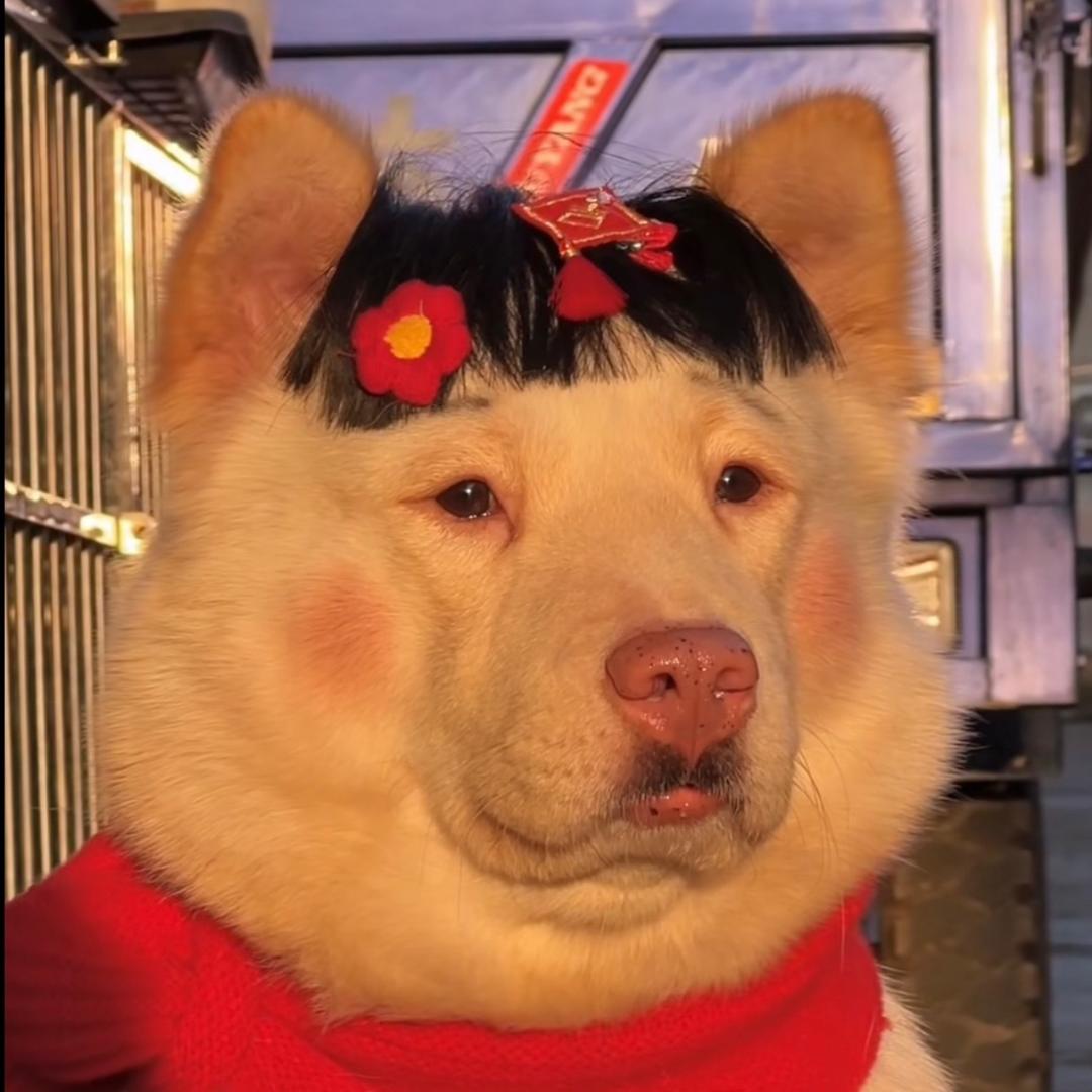 汤圆子