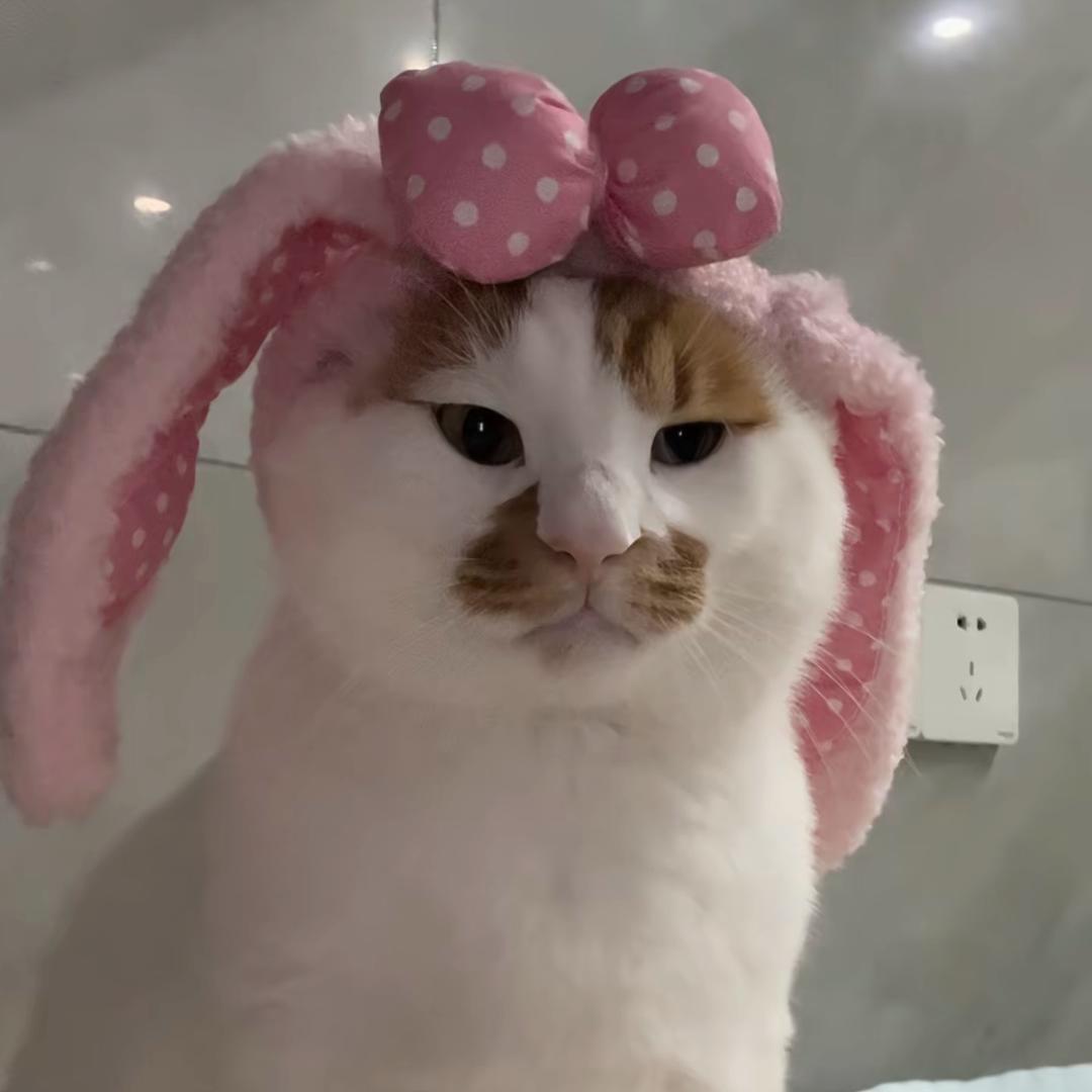 又他妈的是我不对