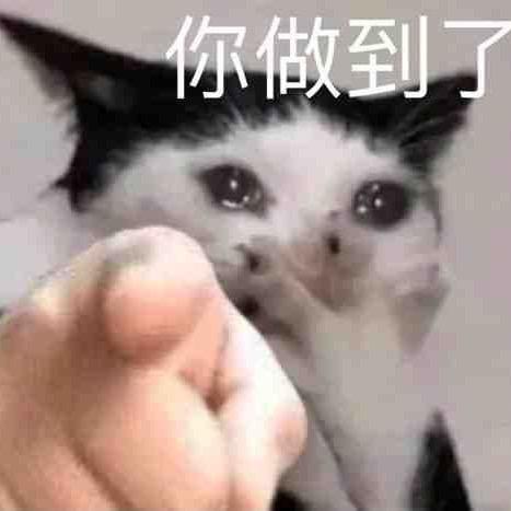 不眠树