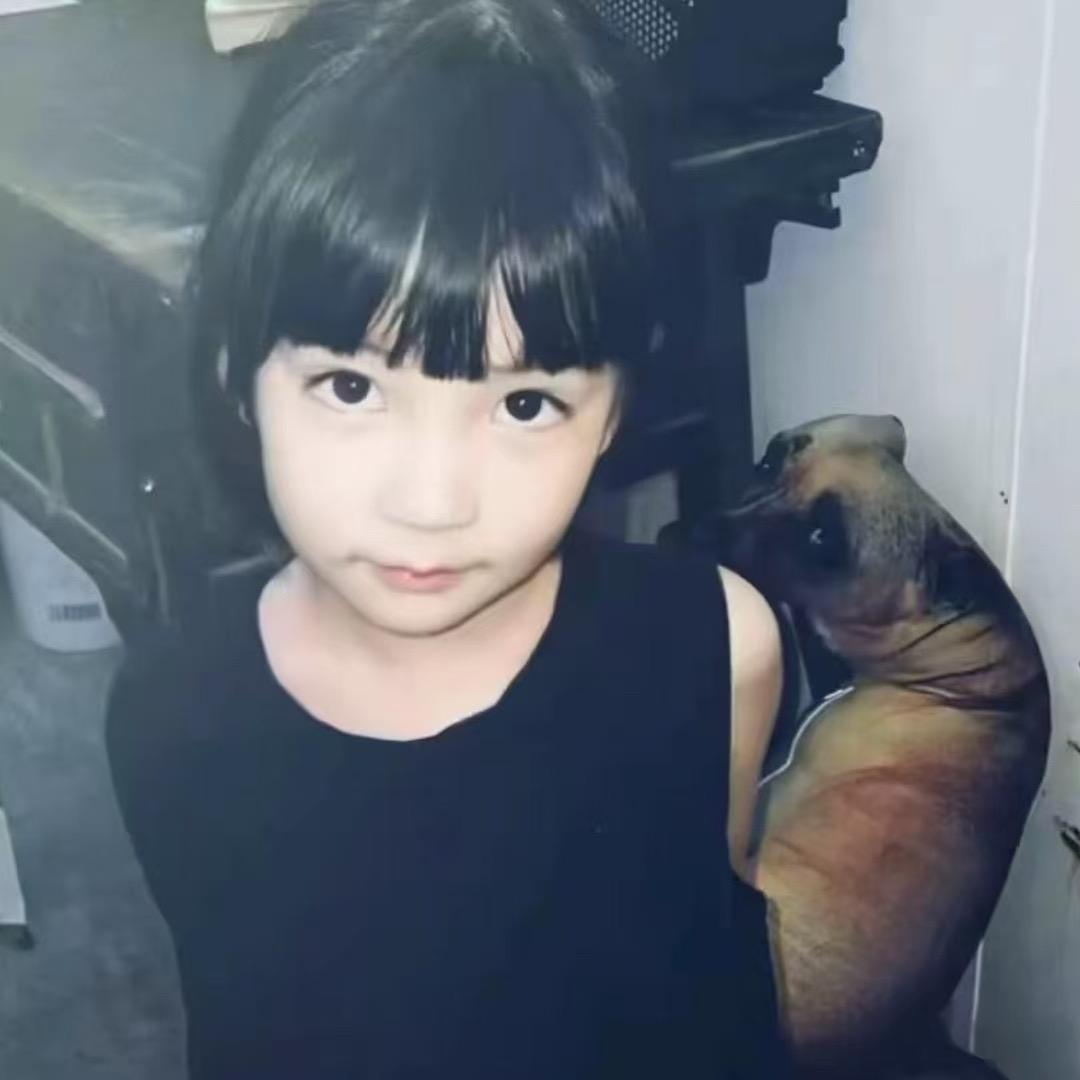 WO-