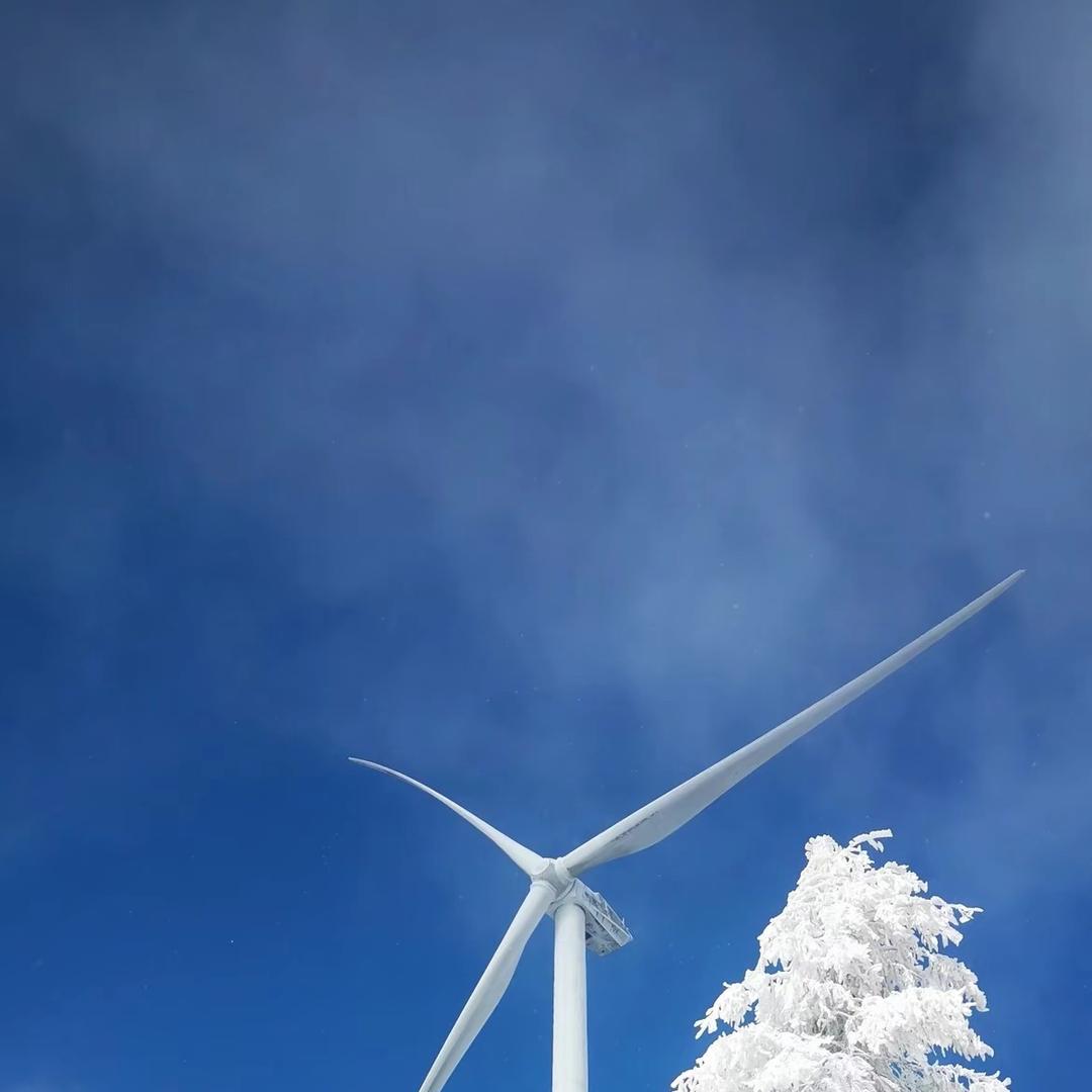 利川奇奇鸟文化传媒