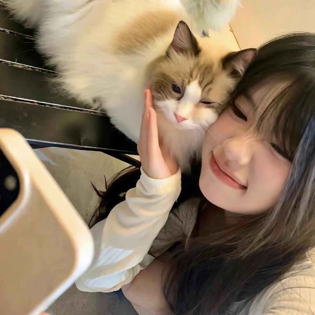 小猫小猫🐱