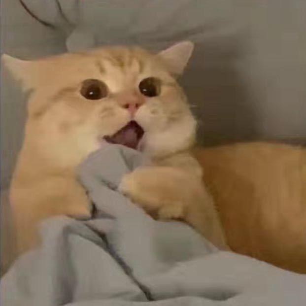 小黄鸭哎呀哎呀头像