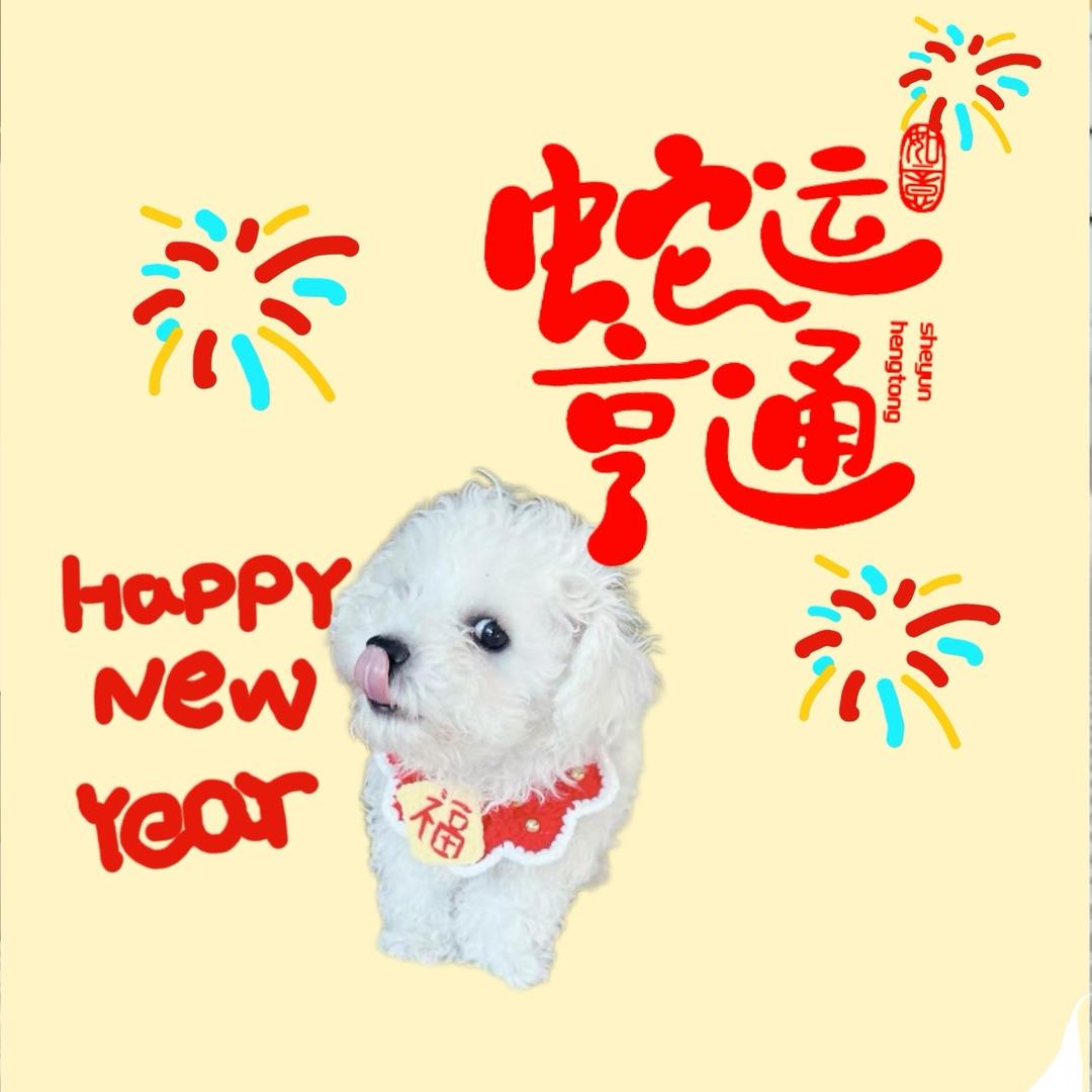 旺仔旺仔