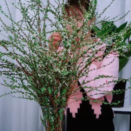 花草绿植花卉@抖音