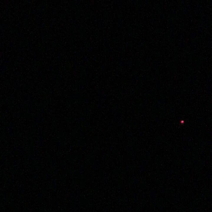 金胜皮毛优选店