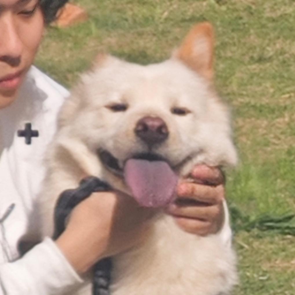 老白的白