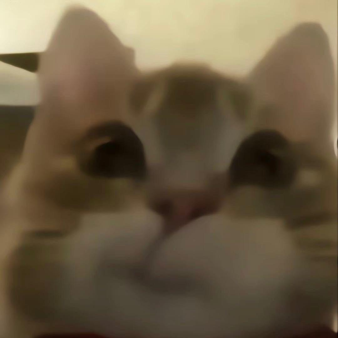 晴天是最美的风景