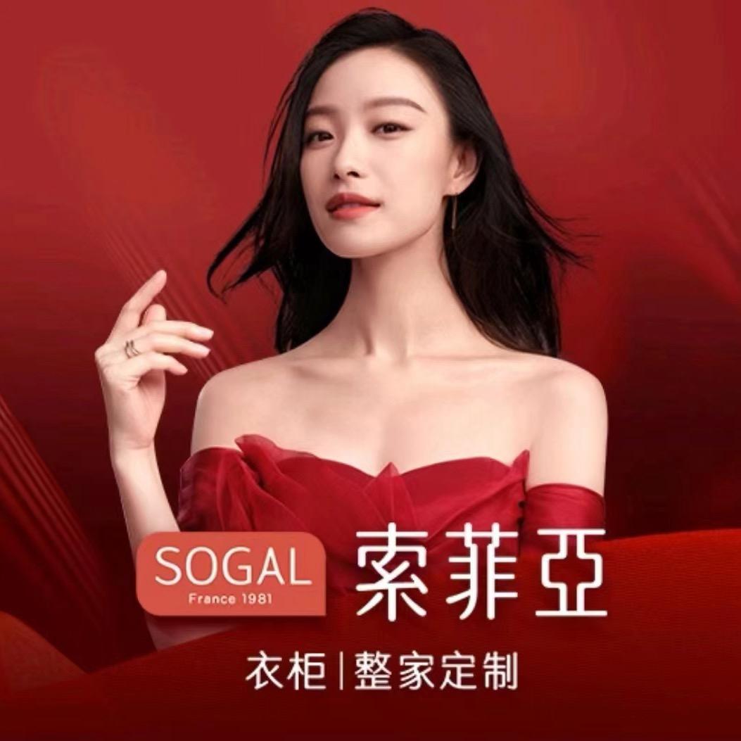 东莞南城索菲亚整家定制