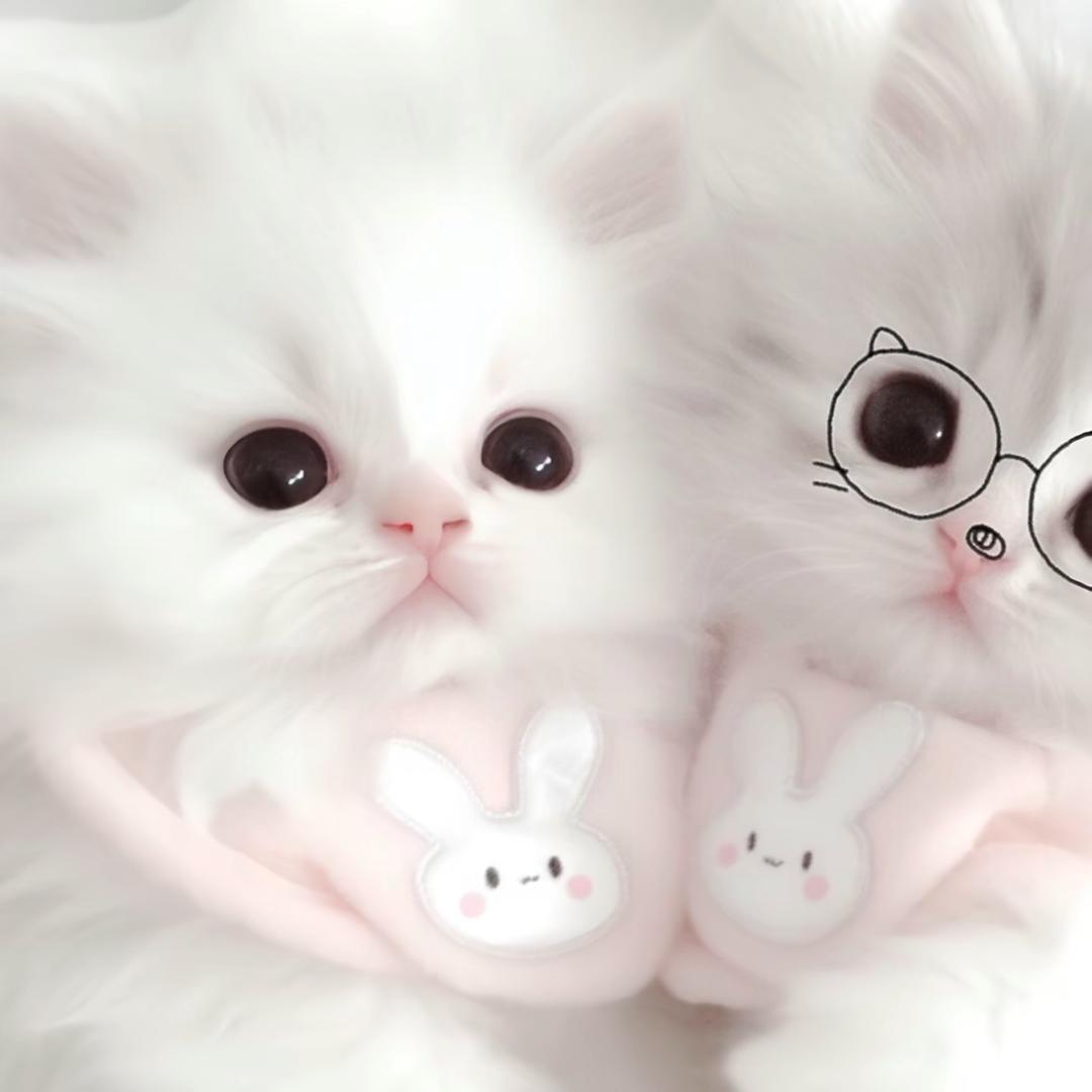 小霏ovo