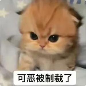 圆润的滚开