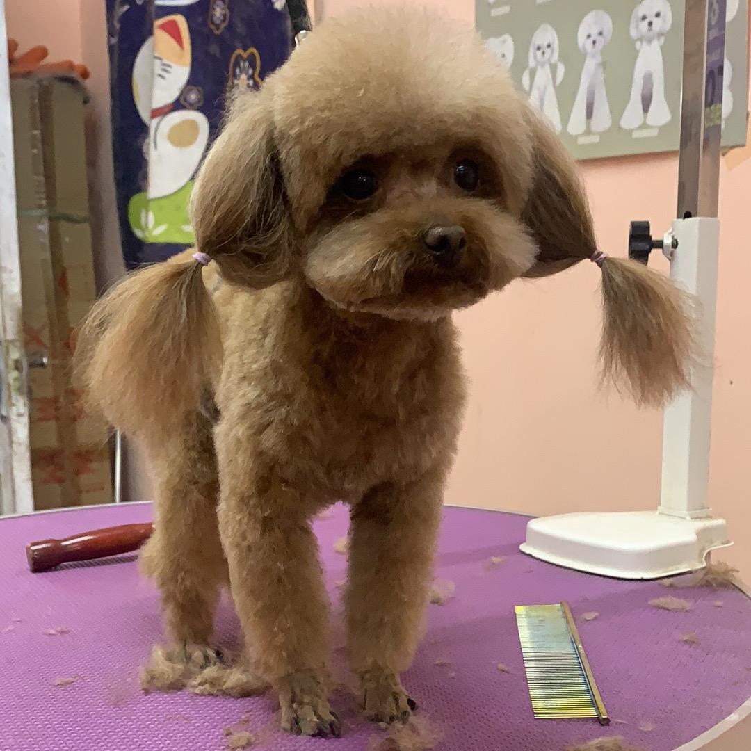 拾柒是只小可爱