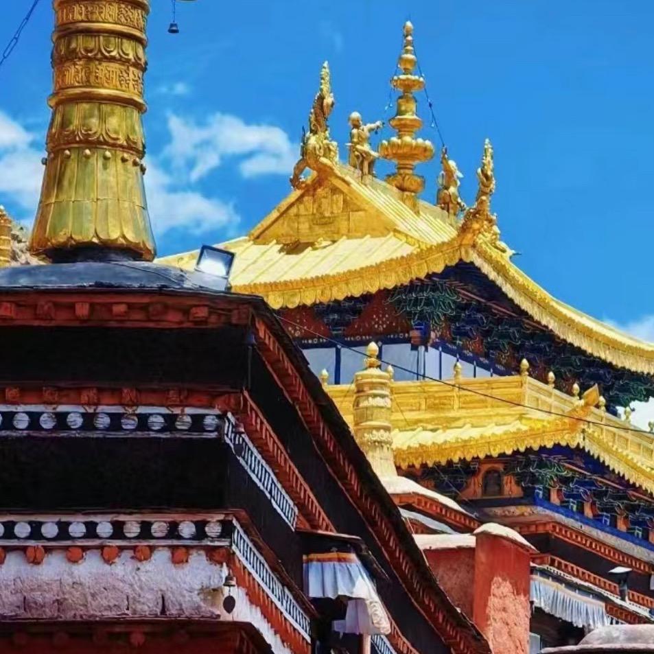责董画院