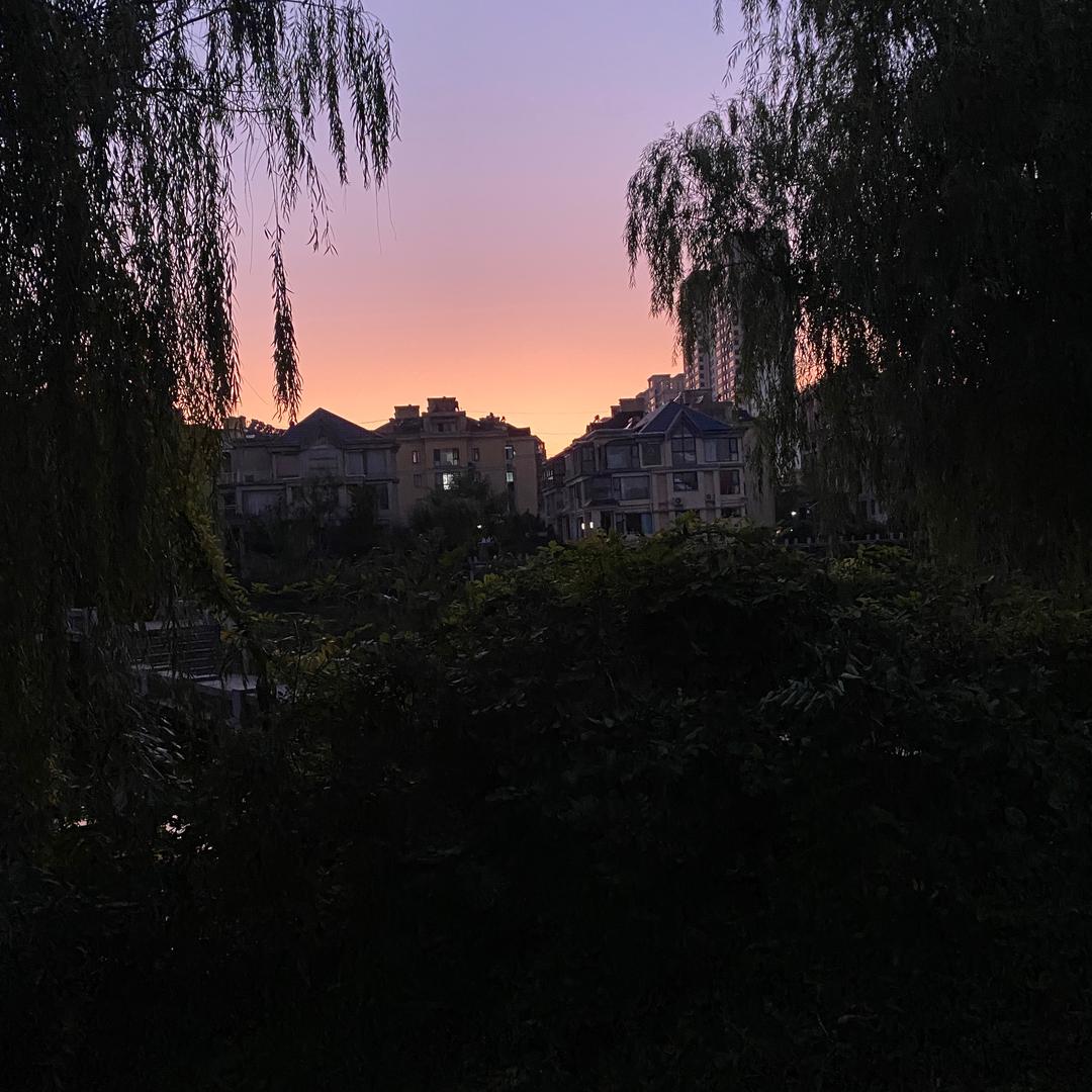 谭老头（六年之约）