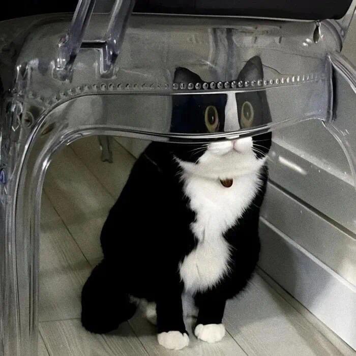 卡卡