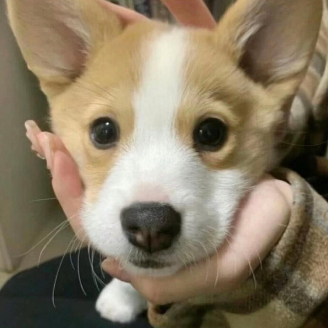 减七和弦