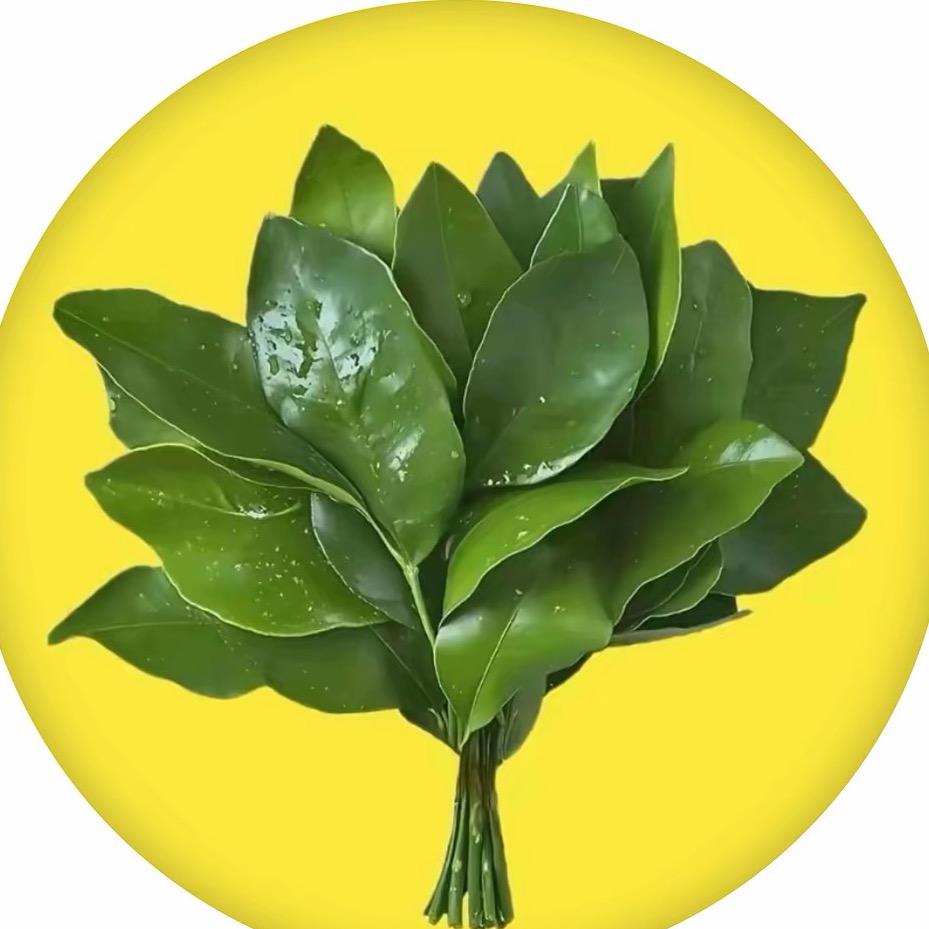 哥哥🧍‍♂️？