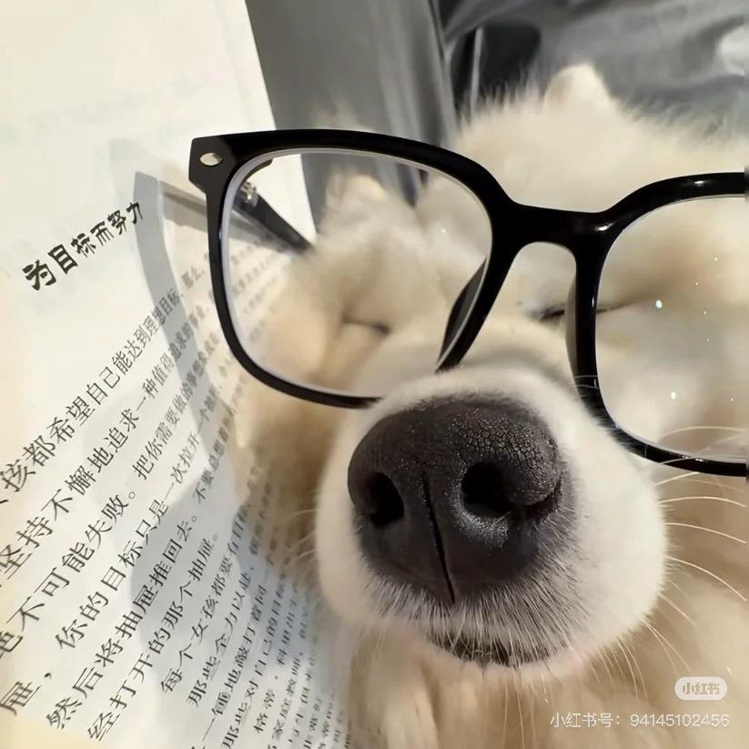 鹿呦呦