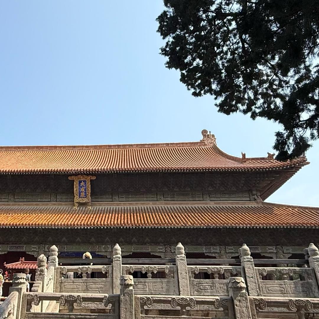 📍星期八🙃