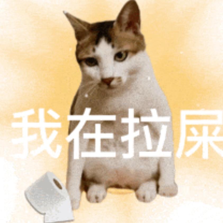 悲伤的小老子