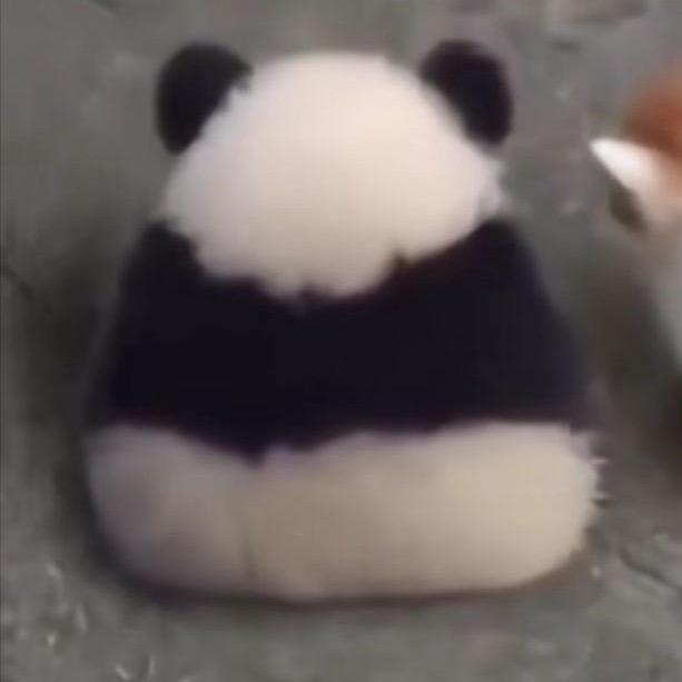 过期羊胎素