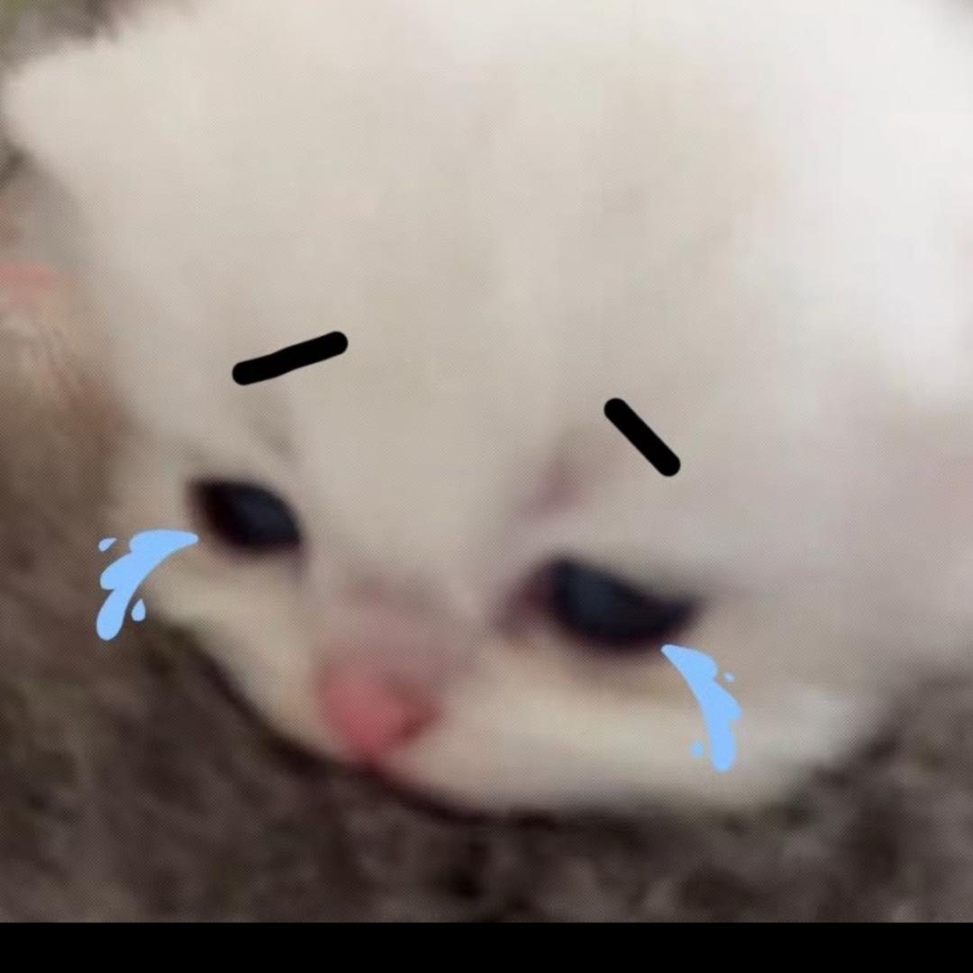 𝒌𝒊𝒍𝒍𝒆𝒓